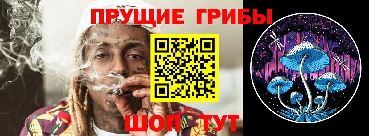 Псилоцибиновые грибы Cubensis Домодедово